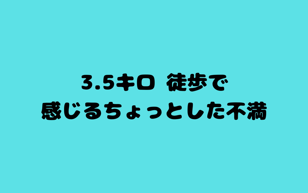 3.5キロ 徒歩で感じるちょっとした不満